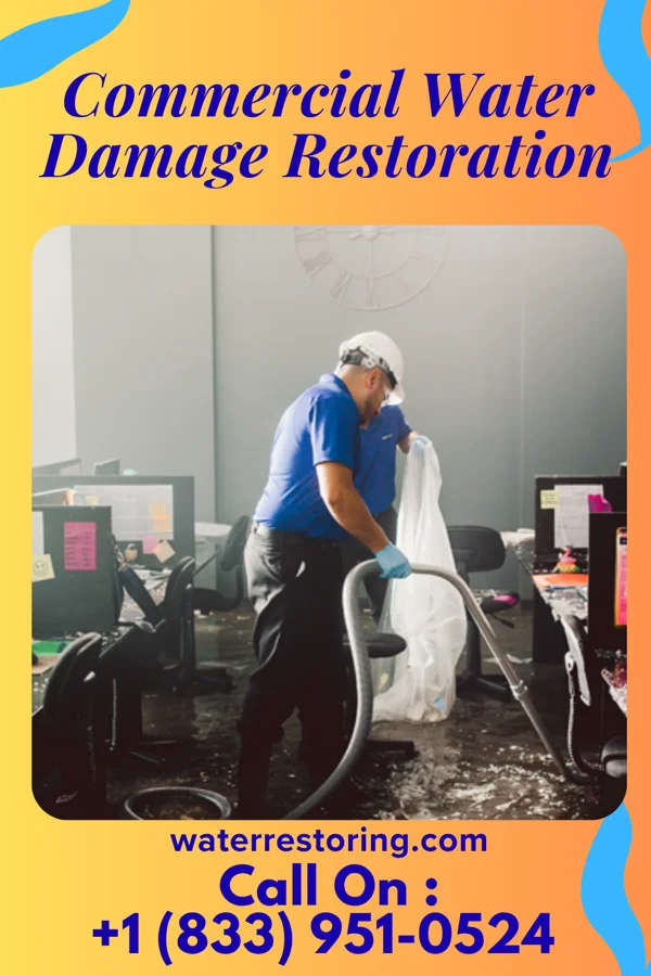 Commercial Water Damage Restoration in Northwest Harbor, NY
