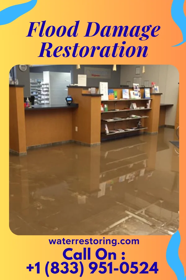 Flood Damage Restoration in Northwest Harbor, NY