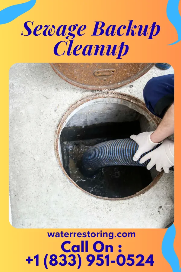 Sewage Backup Cleanup in Northwest Harbor, NY