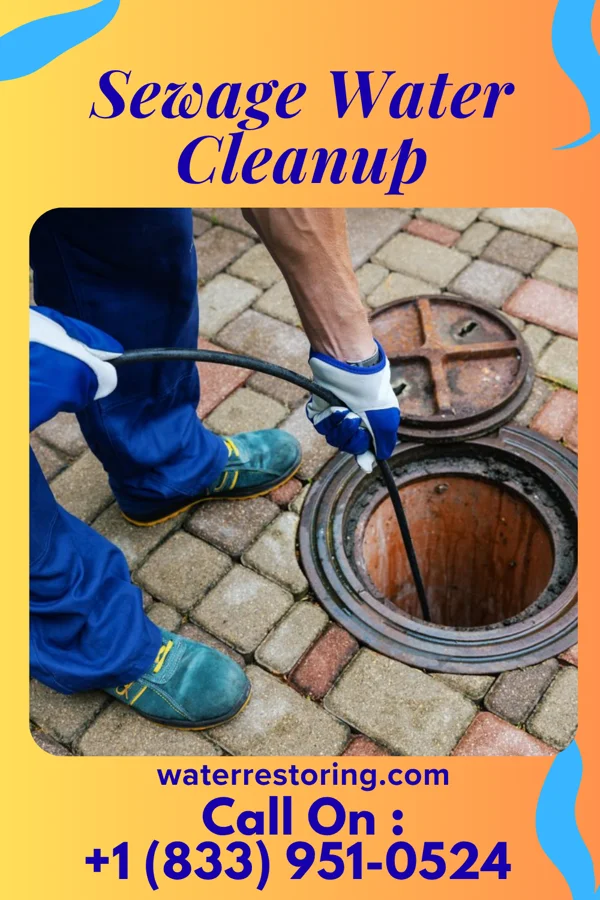 Sewage Water Cleanup in Northwest Harbor, NY
