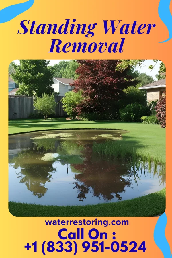 Standing Water Removal in Northwest Harbor, NY